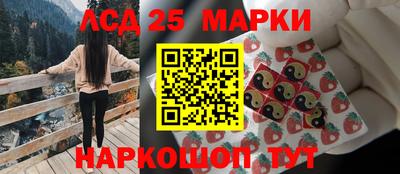 ешки Бердск