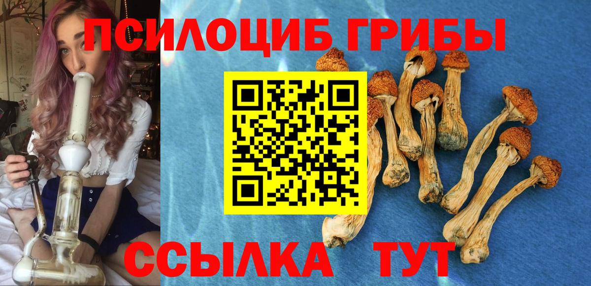 Урай  где купить наркотик  Вход с VPN  Псилоцибиновые грибы Cubensis 
